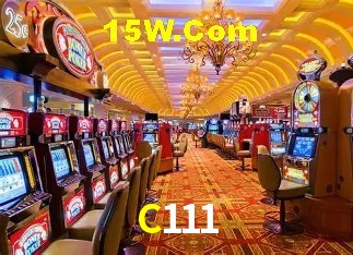 Security Systems C111